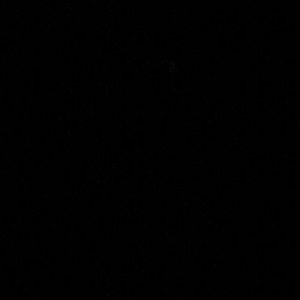 Meet your Posher, Han